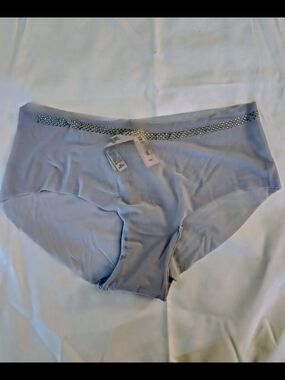 Victoria's Secret Powder Blue Seamless Hipster Panty with Rhinestone Waistband